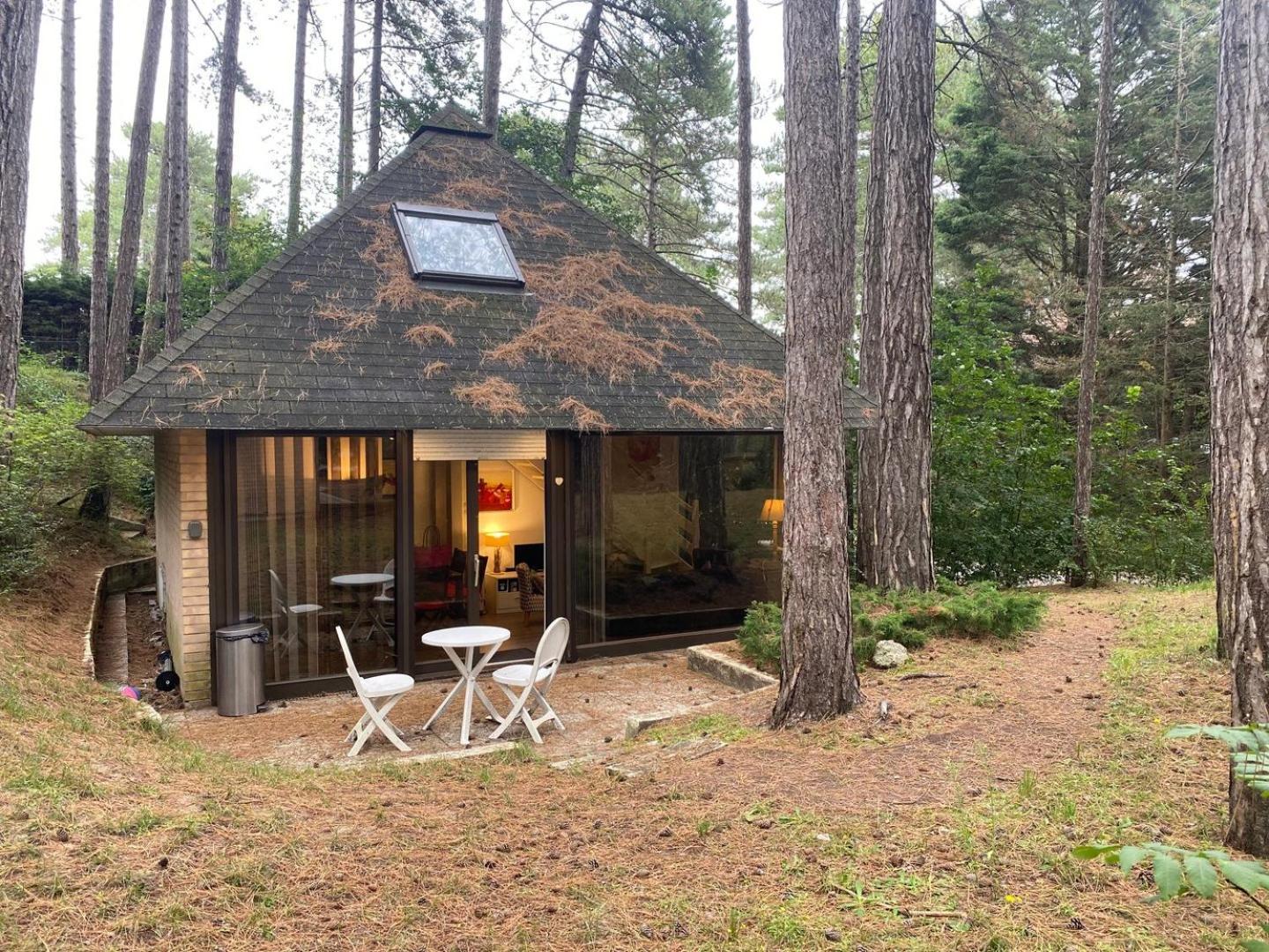 La Forestiere - Face Au 10 Neufchâtel-Hardelot Kültér fotó